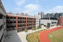 深圳市2023年国民经济和社会发展统计公报