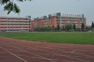 石家庄鹿泉区实验小学举行2024年春季趣味运动会