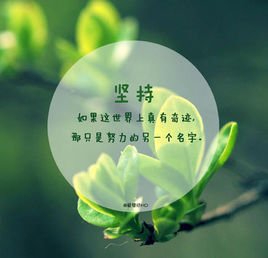 柳江盆地管理中心开展世界地球日科普宣传活动